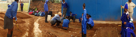 The Noordgesig Primary School Vegetable Gardens
