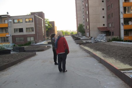 Greening-public-spaces1