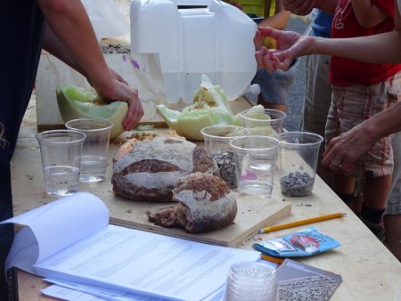 The Invisible Lunch Discussions