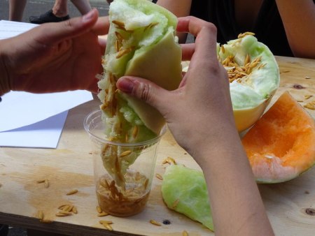 The Invisible Lunch Discussions