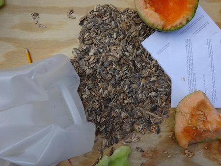 The Invisible Lunch Discussions