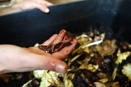 Berlin – Living with Soil and Water