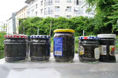 Berlin – Living with Soil and Water