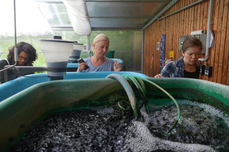 Berlin – Living with Soil and Water