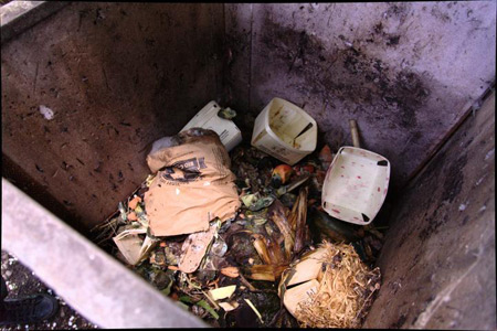 Walk in Prinzessinnengarten neighborhood, June 28 2015