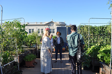 Uncommon Ground, The Organic Roof Top Farm