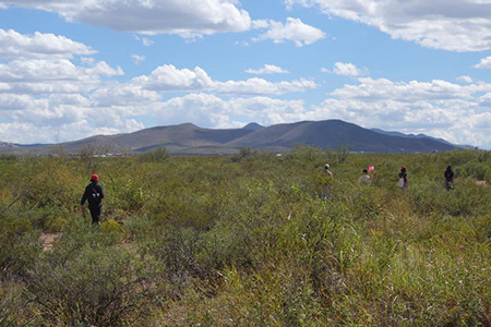 Working with Postcommodity on the Repellent Fence