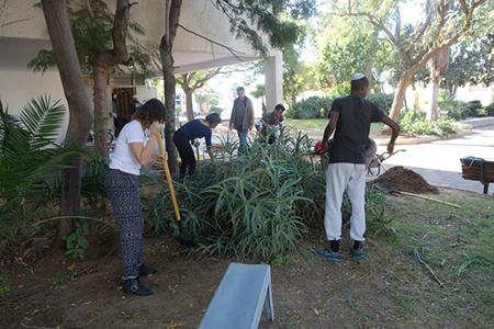 The Hammock and the Tree