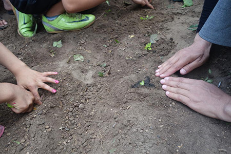 The Garden Is a Living Room